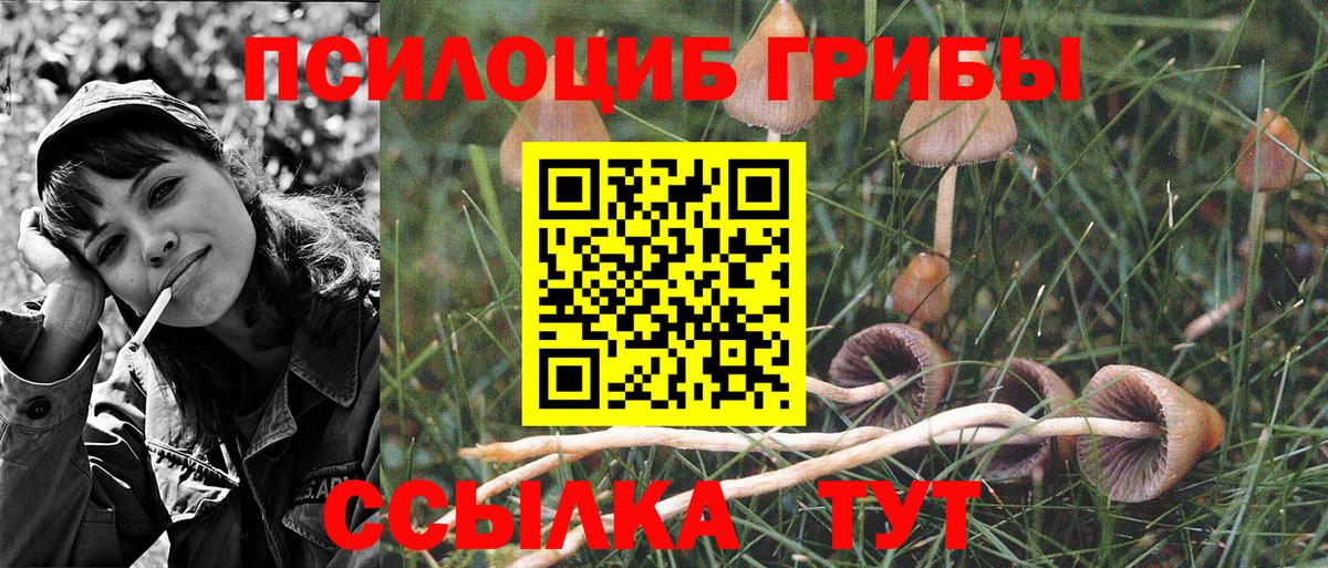 Галлюциногенные грибы MAGIC MUSHROOMS Сланцы