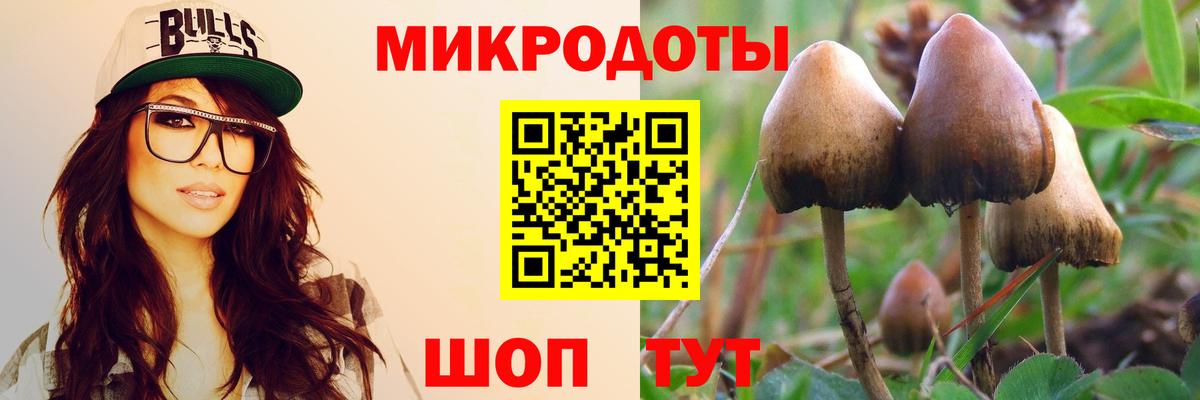 Галлюциногенные грибы Cubensis  Вход с VPN  Сланцы 